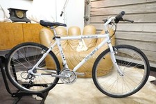 Carbon 90s VINTAGE Giant Cadex