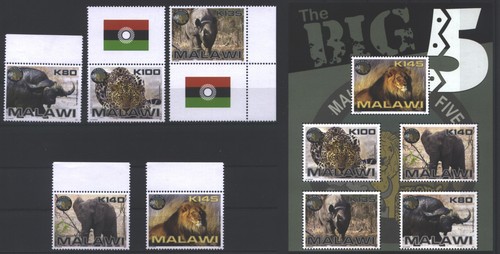 Malawi löwe elefant leopard - löwe,