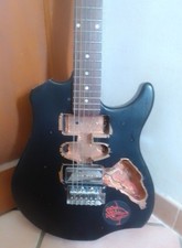 Peavey Raptor plus Projekt München E-Gitarre