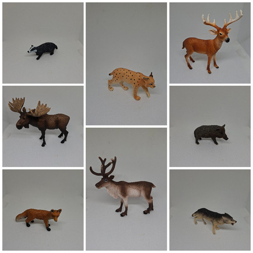 Schleich tiere verschiedene - schleich,