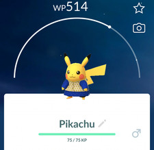 👻PoKeMon Kostüm Kurta