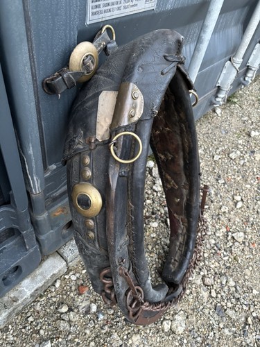 Halfter warmblut - halfter,