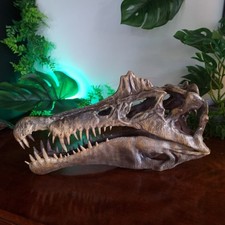 Spinosaurus Schädel (Replika)