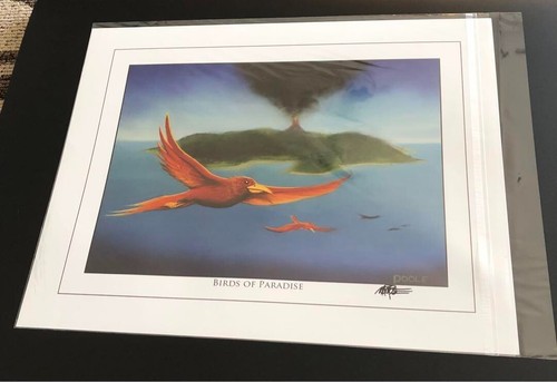 Birds paradise mtg mark - of,