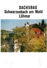 Schwarzenbach Wald Dachsbau
