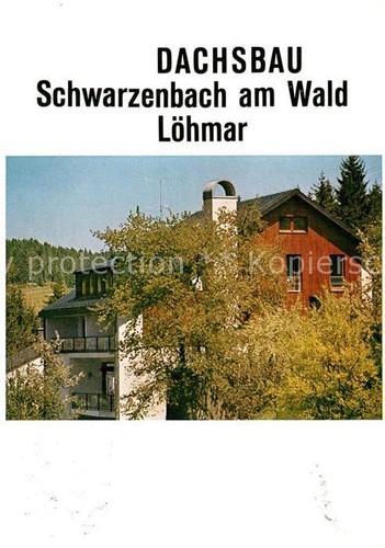 Schwarzenbach wald dachsbau - schwarzenbach,