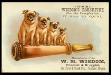PUG CARLIN MOPS HUND DOG ART