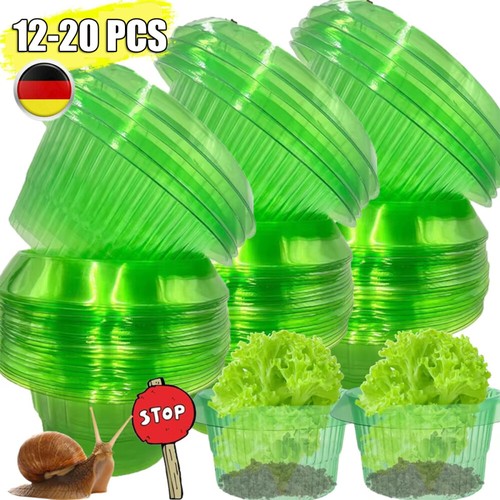 Schneckenkragen