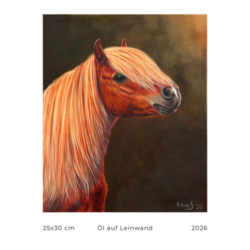Original ölgemälde pferd - Ölgemälde,