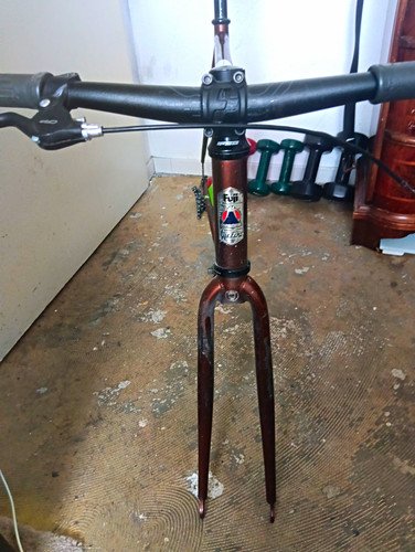 Fuji bike classic 54er - -bike, 'classic',54er