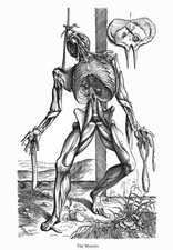 ML34 Vintage medizinische