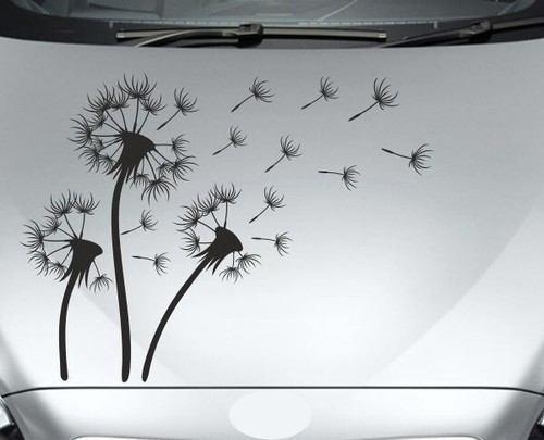 Aufkleber auto motorhaube - motorhaube, car