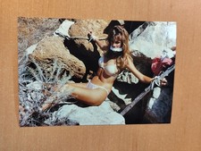 Original Aktfoto  Frau