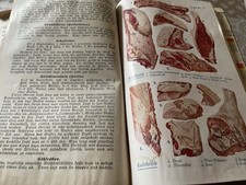 Dr. Oetkers's Schulkochbuch antik u.Warenkunde ca. 1934 Sachbuch Dr. Oetker