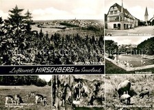 Hirschberg Warstein Schwimmbad