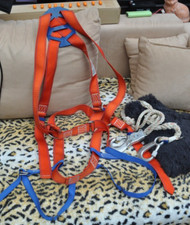 Profi Sicherheitsgurt