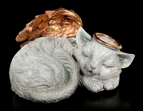 Katzen engel tier - katzen, urne