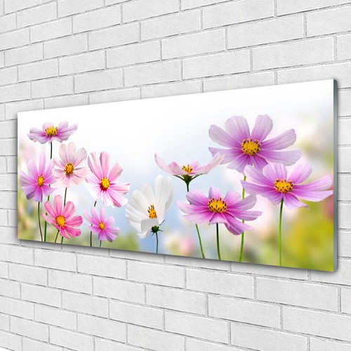 Glasbilder wandbild druck - glasbilder,