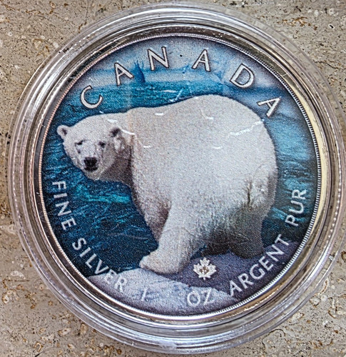 Kanada 2021 eisbär - eisbär, bear