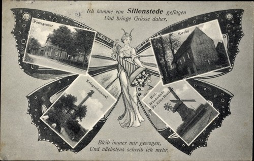 Schmetterling sillenstede - schmetterling, ak