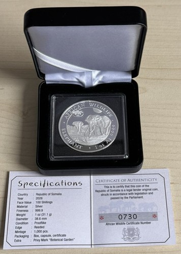 100 shillings somalia 2026 - shillings,