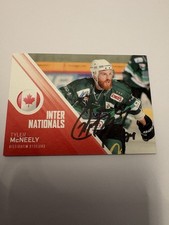 DEL2 Internationals Bietigheim