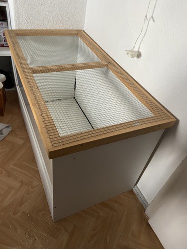 Hamster terrarium mit - hamster, zubehör