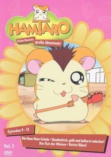 Hamtaro kleine hamster - hamtaro,
