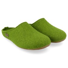 Haflinger everest fundus - everest,