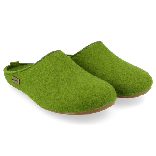 Haflinger everest fundus - everest,