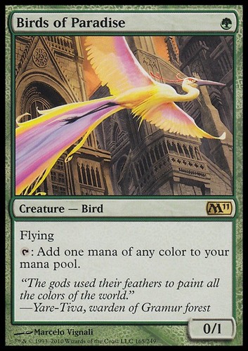Birds paradise magic 2011 - birds, of