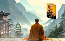 NEU Shaolin Mind – Die Suche