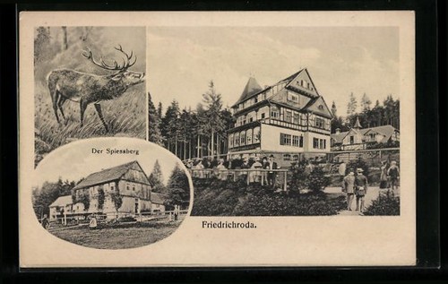 Ansichtskarte friedrichroda - ansichtskarte,