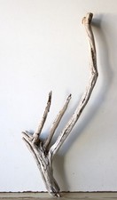 Treibholz Schwemmholz