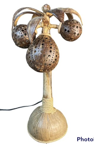 Palmenlampe aus kokosnüssen - aus,