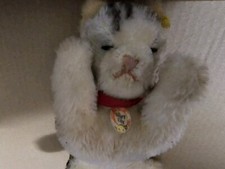 Steiff Katze Floppy Kitty