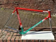 Eddy Merckx Professional Team