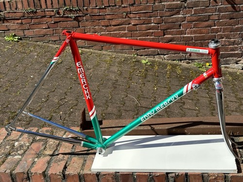 Eddy merckx professional - eddy,