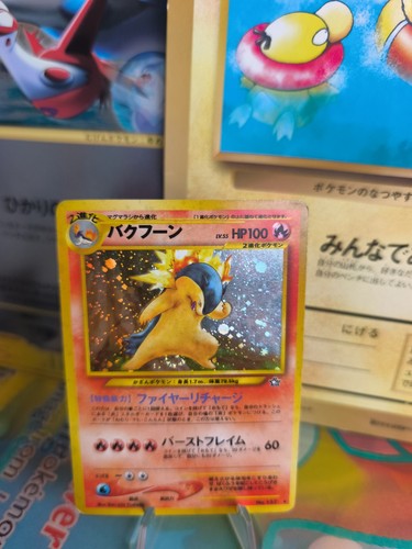 Pokemon karte card - karte, typhlosion