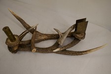 Hirsch Abwurfstange Tischdeko