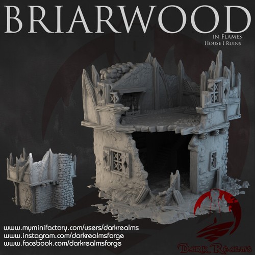 Briarwood haus ruine - haus, 1