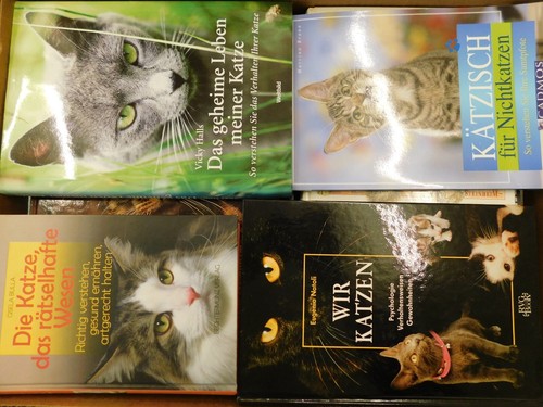 Bücher bildbände katze - 43,