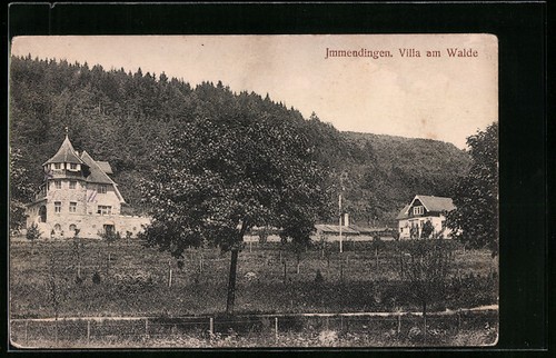 Immendingen villa walde - villa,