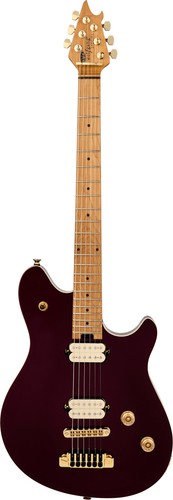 Evh wolfgang special - evh, tom