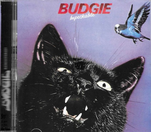 Budgie impeckable top - ,