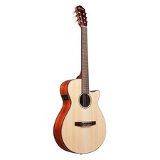 Ibanez AEG50N NT Nylon String