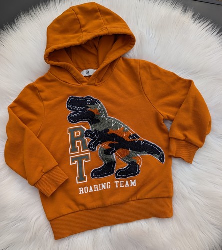 Rex hoodie pullover 104 - hoodie,