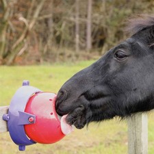 LIKIT Tongue Twister