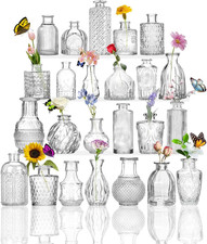 Kleine Glasvasen Set Von 24