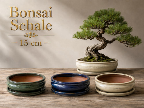 Bonsaischale oval bonsaitopf - bonsaischale,